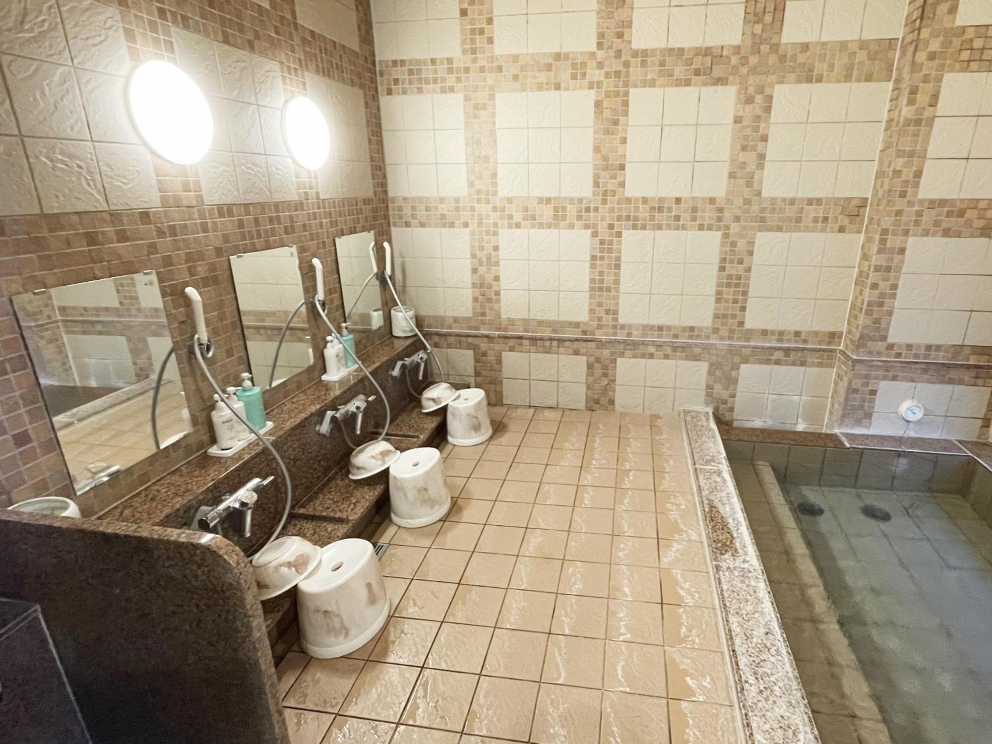 Hotel Route-Inn Dai-Ni Ashikaga Dış mekan fotoğraf
